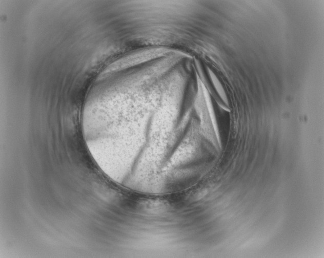 X0000088610503200706151830