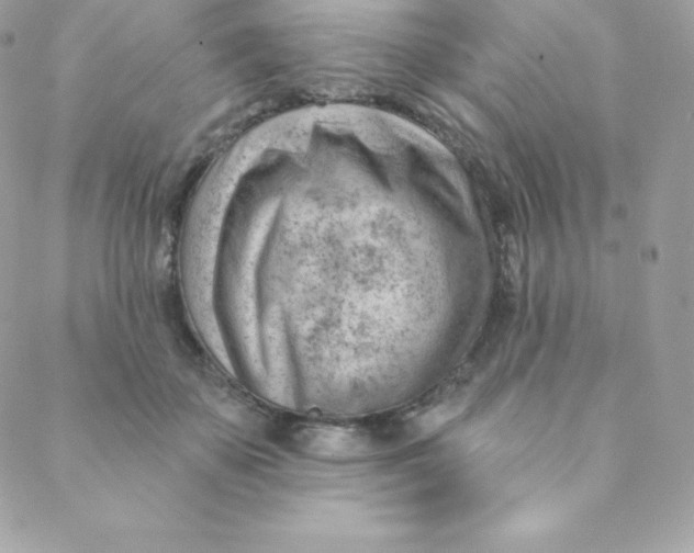 X0000088610507200706151830