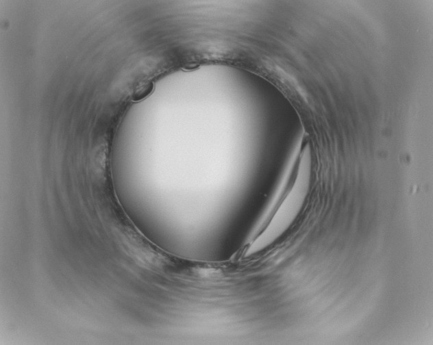 X0000088610509200706151830