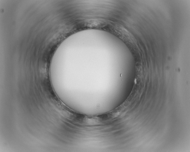 X0000088610510200706151830