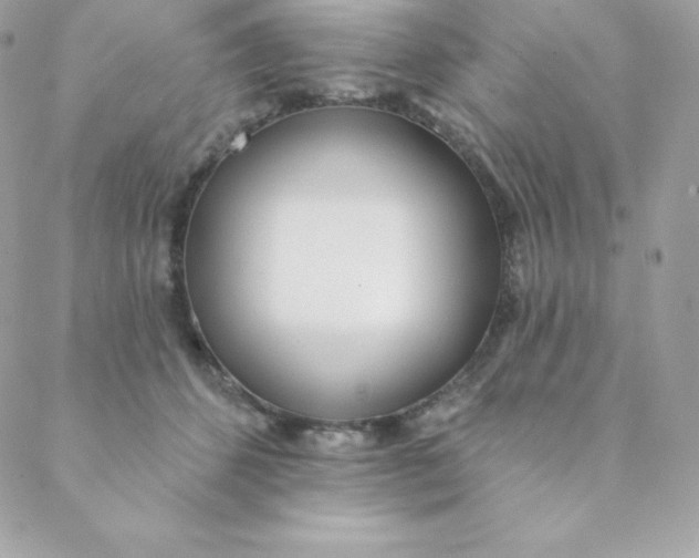 X0000088610512200706151830