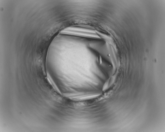 X0000088610513200706151830