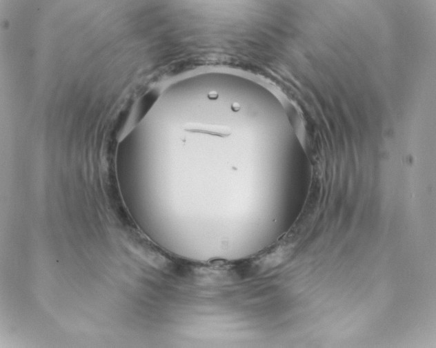 X0000088610516200706151830