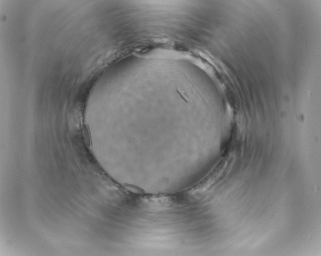 X0000088610517200706151830