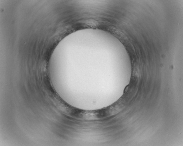 X0000088610518200706151830