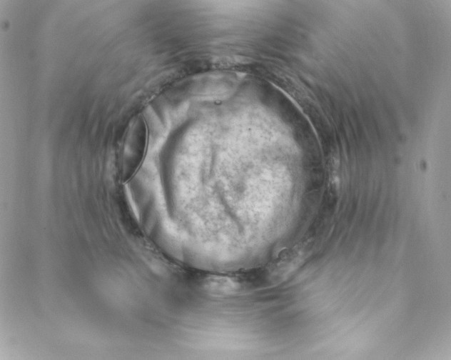 X0000088610519200706151830