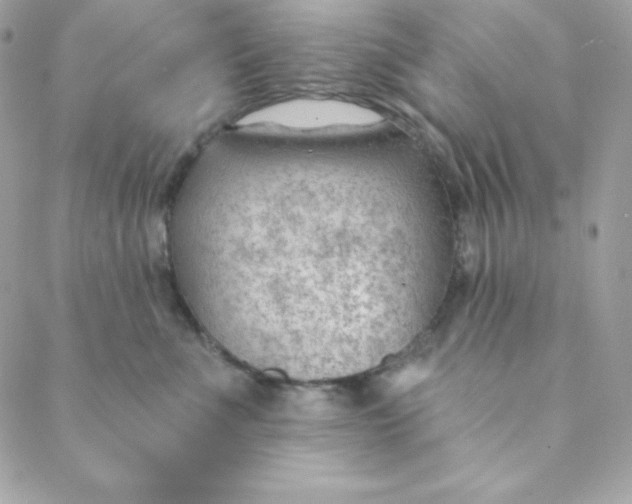 X0000088610523200706151830