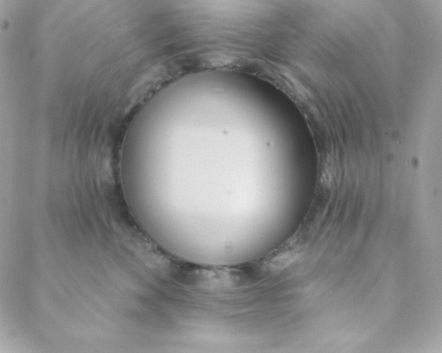 X0000088610524200706151830