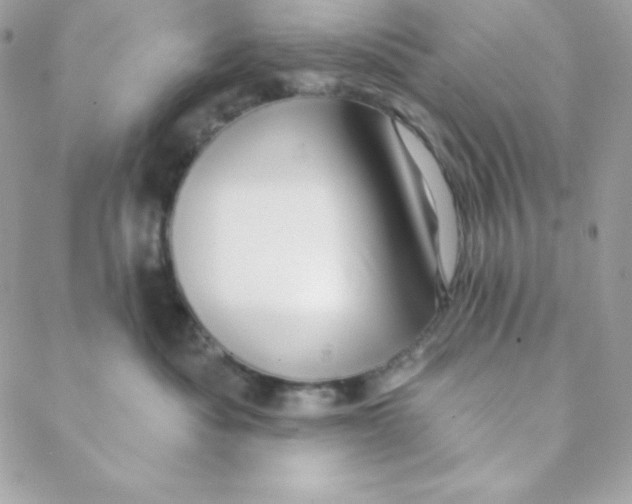 X0000088610525200706151830