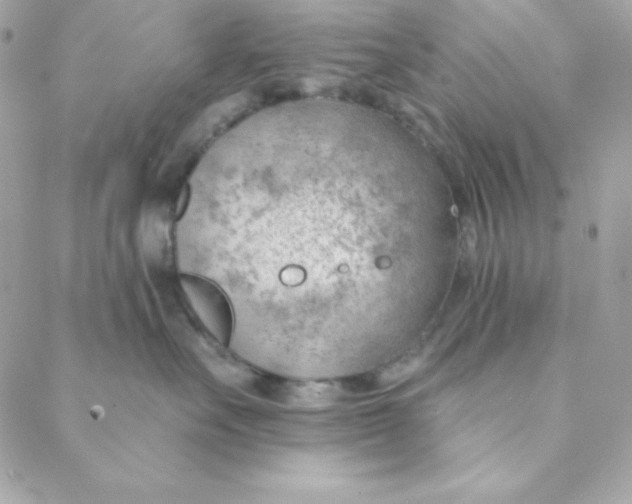 X0000088610527200706151830