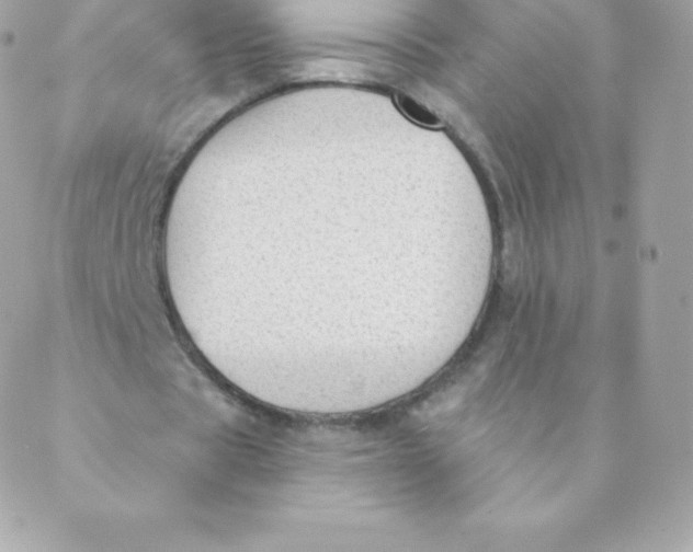 X0000088610529200706151829