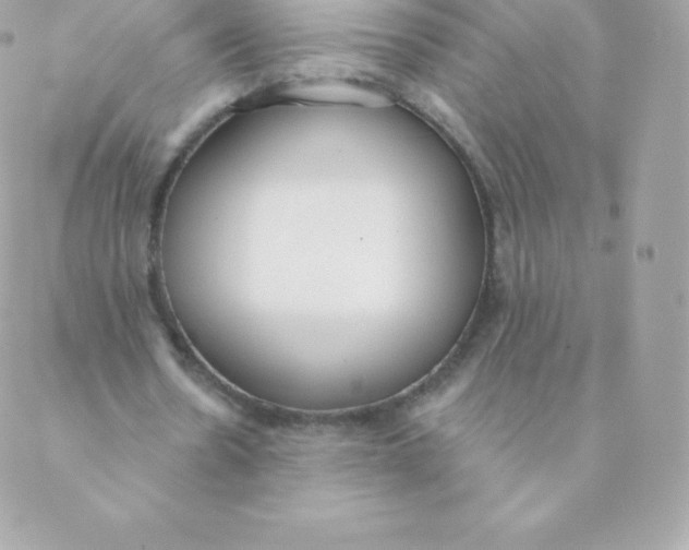 X0000088610530200706151829