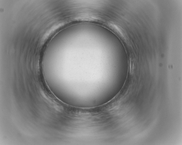 X0000088610531200706151829