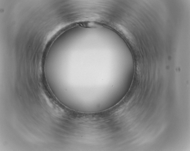 X0000088610532200706151829