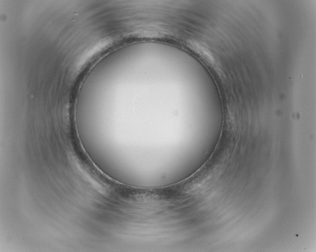 X0000088610535200706151829