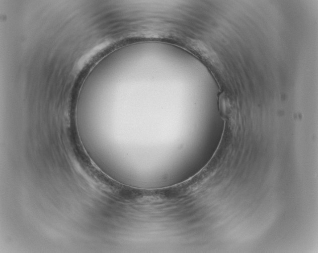 X0000088610536200706151829