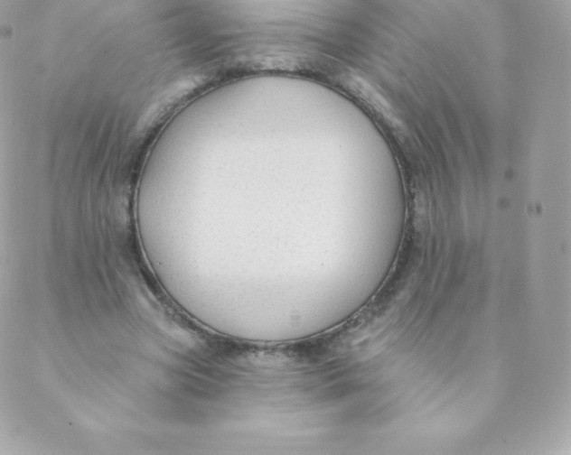 X0000088610537200706151829