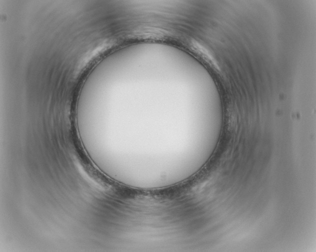 X0000088610538200706151829