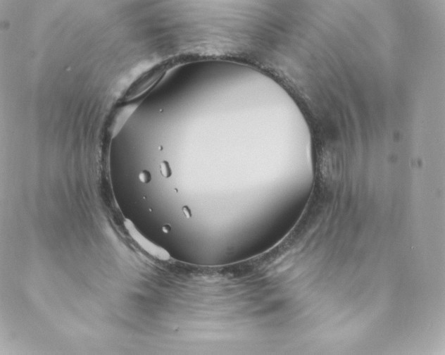 X0000088610540200706151829