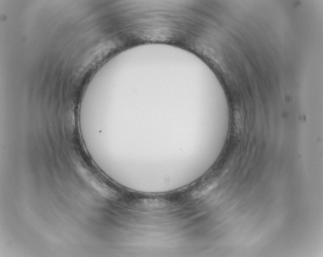 X0000088610541200706151829