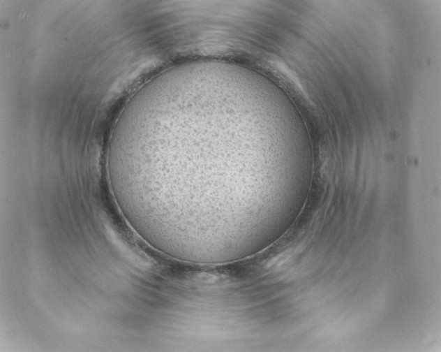 X0000088610542200706151829