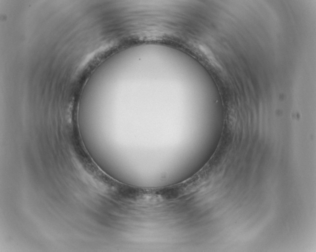 X0000088610543200706151829