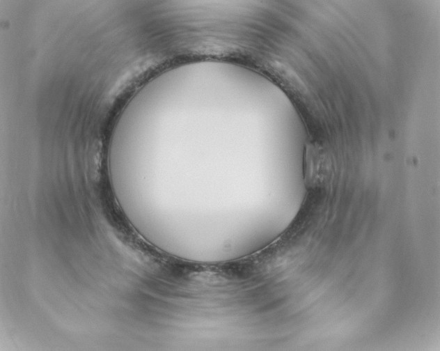 X0000088610544200706151829