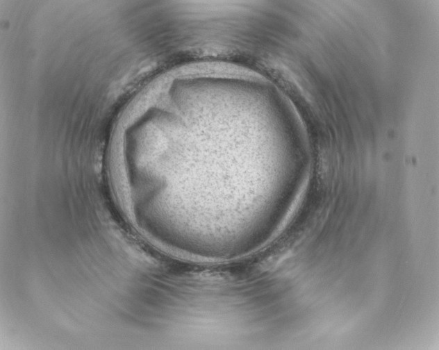 X0000088610545200706151829