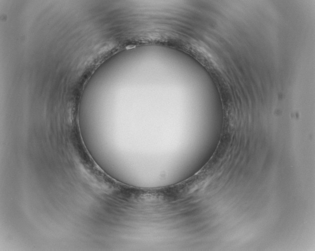 X0000088610546200706151829