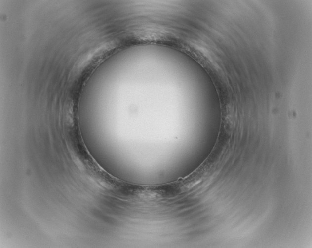 X0000088610547200706151829