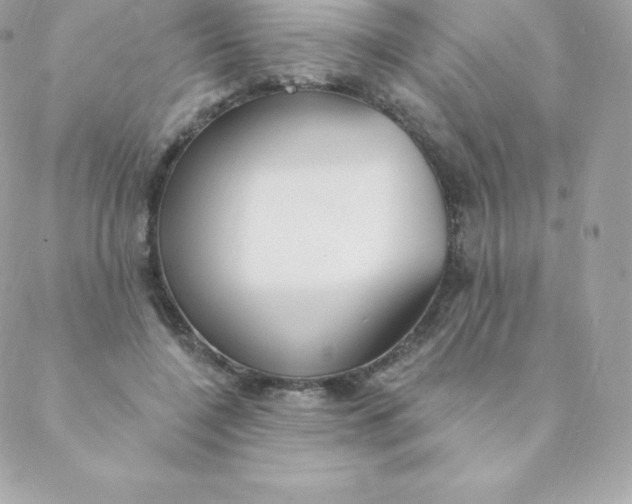 X0000088610548200706151829