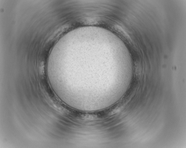 X0000088610549200706151829