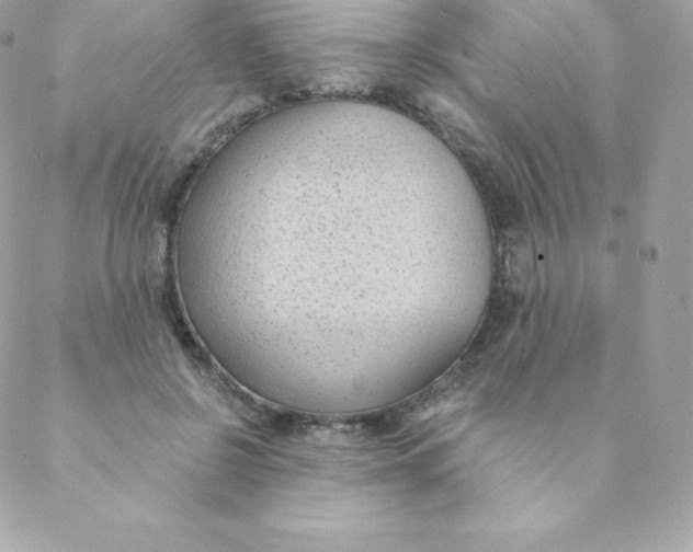 X0000088610550200706151829