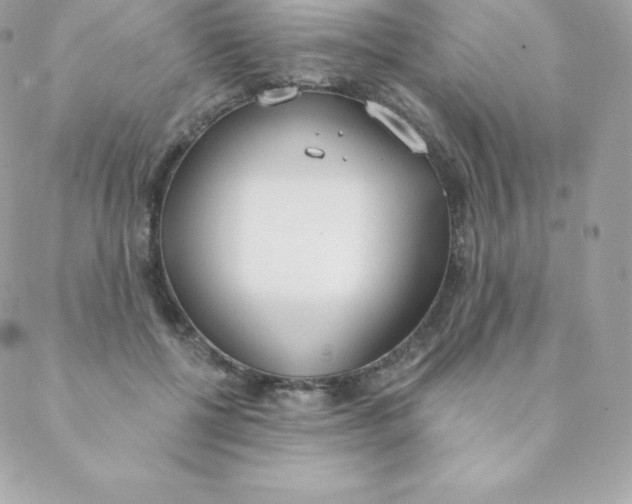 X0000088610552200706151829