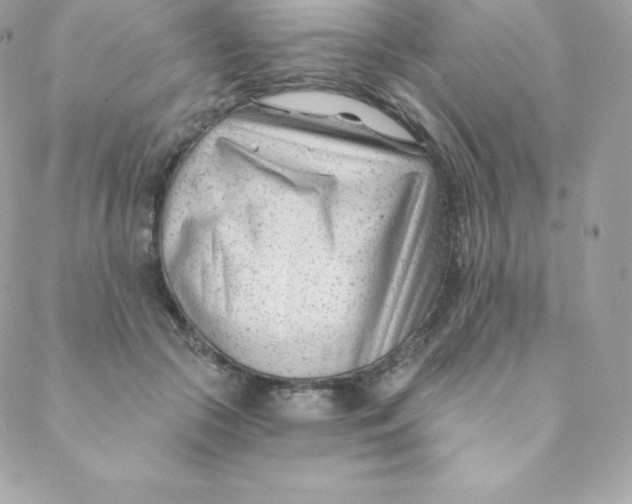 X0000088610553200706151829