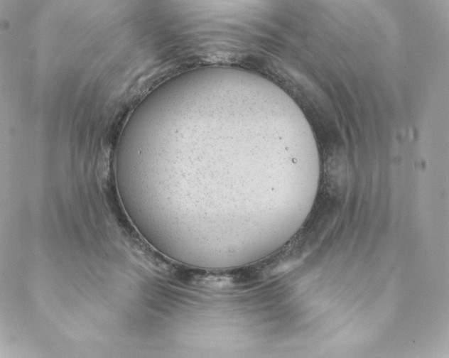 X0000088610554200706151829