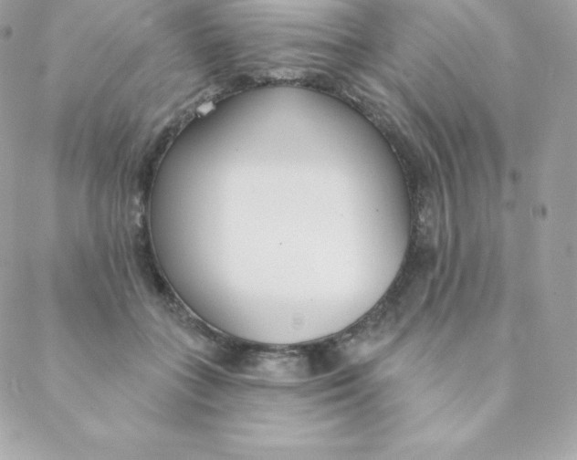 X0000088610555200706151829