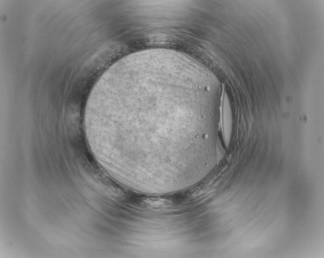 X0000088610557200706151829