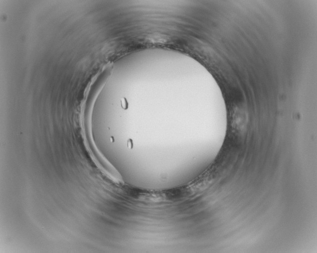 X0000088610559200706151829