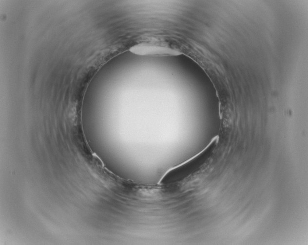 X0000088610560200706151829