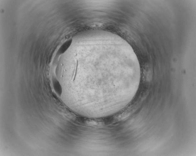 X0000088610561200706151829