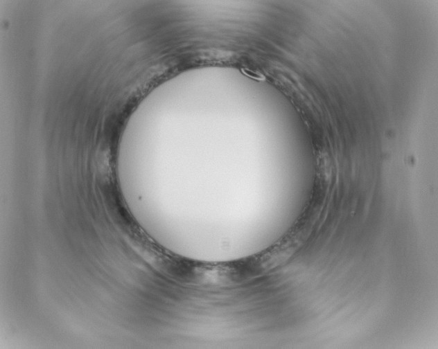 X0000088610564200706151830