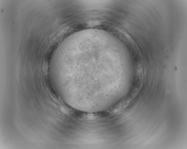 X0000088610565200706151830