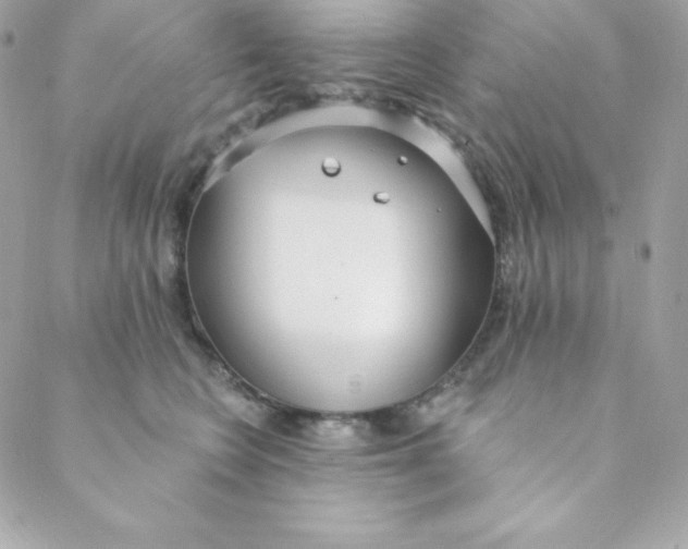 X0000088610566200706151830