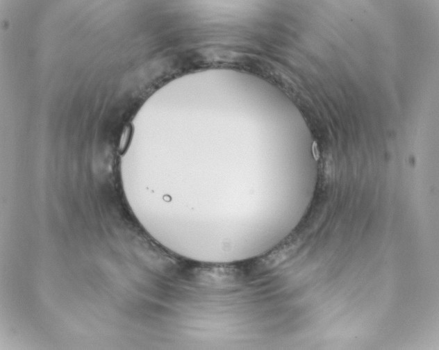 X0000088610567200706151830