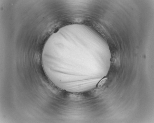 X0000088610568200706151830