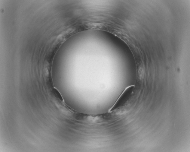 X0000088610570200706151830