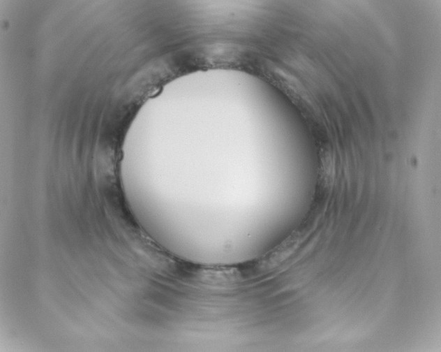 X0000088610571200706151830