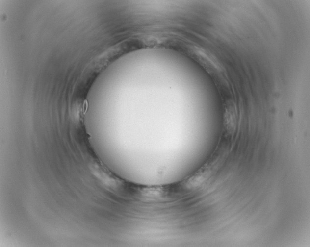 X0000088610574200706151830