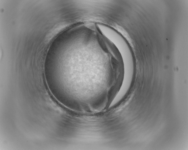 X0000088610577200706151829